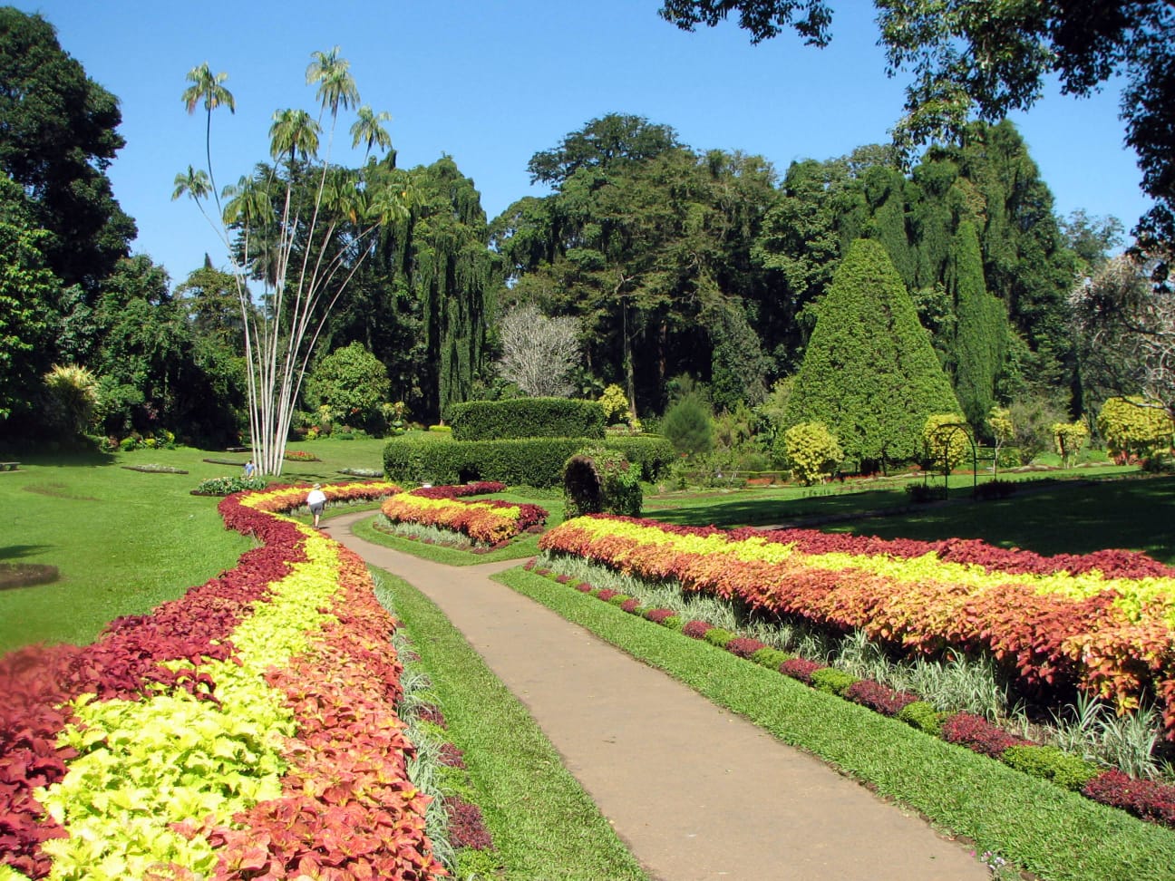 Peradeniya Royal Botanical Garden, Sri Lanka